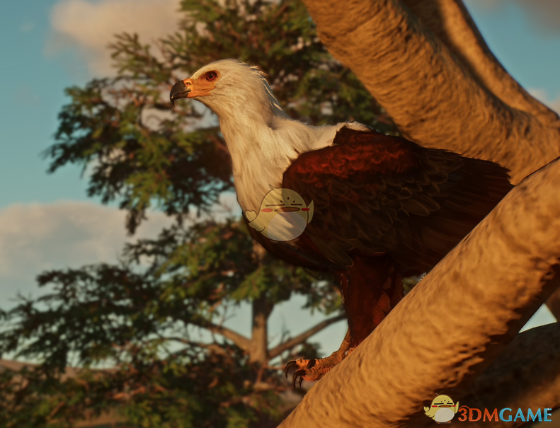 ������԰֮�ǡ������ַ��޺���MOD v1.0