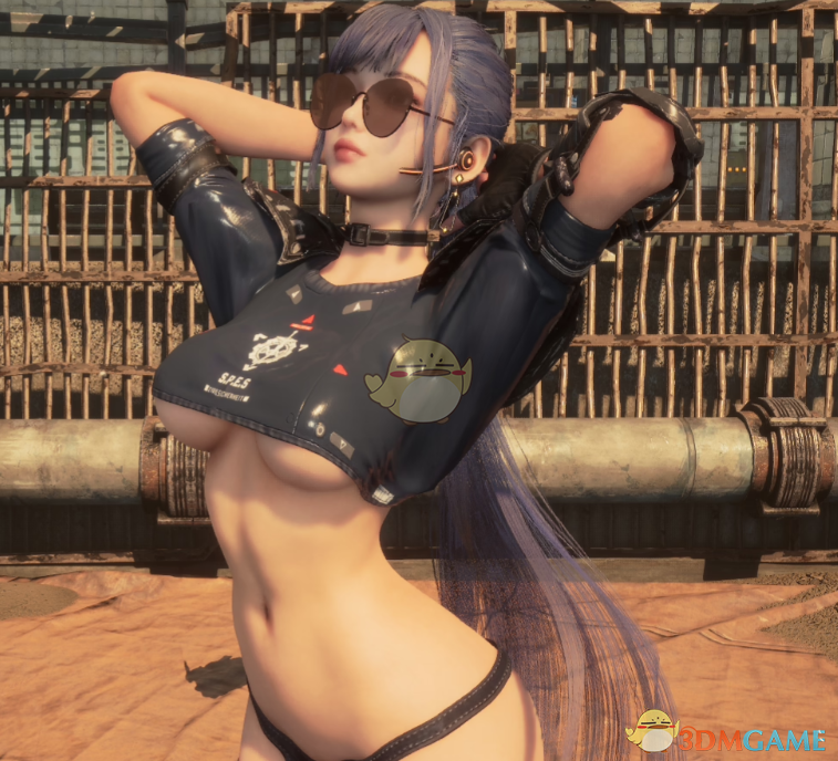 �����ǡ���ܽ�ľ��ܷ�����װMOD v1.0