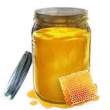 ������ɱ�����õķ��ۻ���MOD v1.0