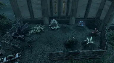 ���Ϲž���5��������ư桷������ֲ�ĳɷ�MOD v1.0