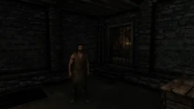 ���Ϲž���5��������ư桷���������װMOD v1.0