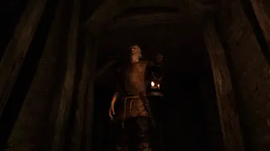 ���Ϲž���5��������ư桷����Ŀ��õ���MOD v1.0