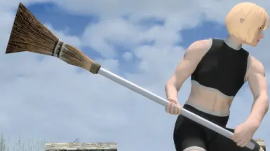 ���Ϲž���5�����ư桷��ɨ��MOD v1.0