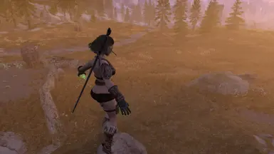 ���Ϲž���5��������ư桷��������ɡ����ɫЧ��MOD v1.0