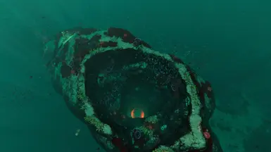 ����Ժ���ϡ�����Ҷ�MOD v1.0