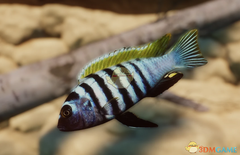 ������԰֮�ǡ���������������MOD v1.0