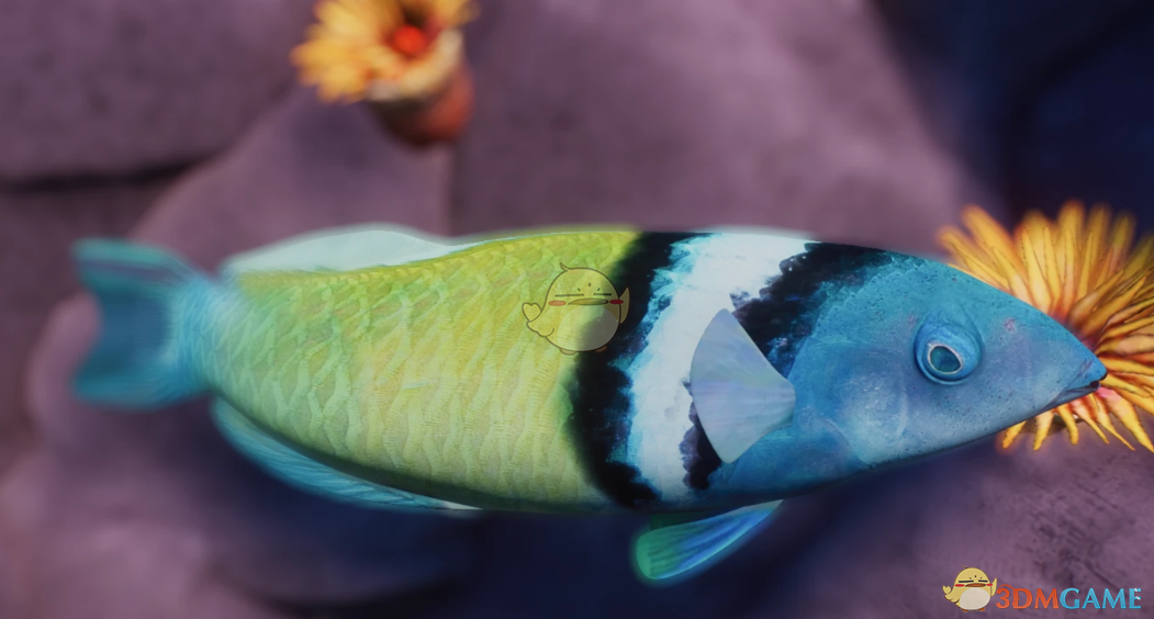 ������԰֮�ǡ�������˫������MOD v1.0