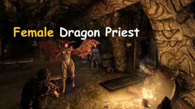 ���Ϲž���5����������ư桷Ů����˾MOD v1.0