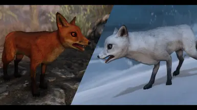 ���Ϲž���5��������ư桷�������ƷMOD v1.0