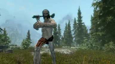 ���Ϲž���5��������ư桷���õĶ��������ģ��MOD v1.0