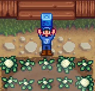 ����¶�������������MOD v1.0