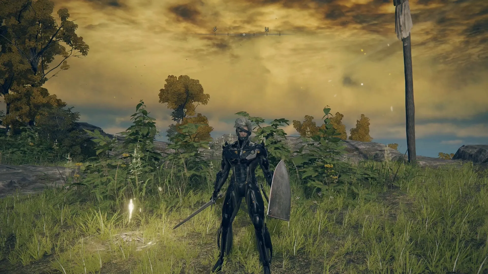 �������Ƿ�����MGS�׵�MOD v1.0