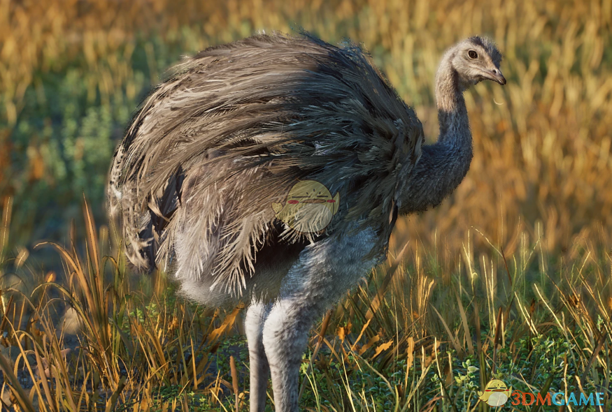 ������԰֮�ǡ�������С������MOD v1.0