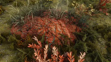 ���Ϲž���5��������ư桷������MOD v1.0