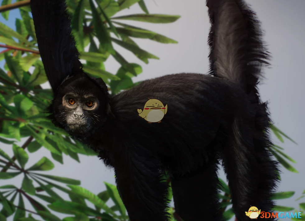 ������԰֮�ǡ������ֺ�֩���MOD v1.0