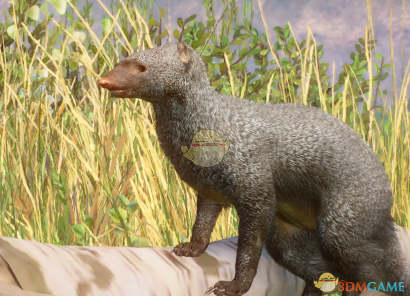 ������԰֮�ǡ������ֻҫBMOD v1.0