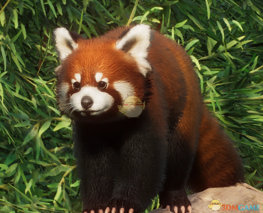 ������԰֮�ǡ��������л�С��èMOD v1.0