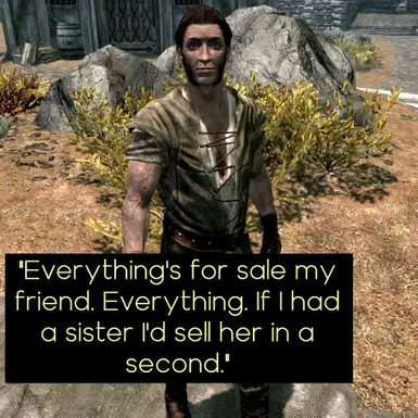 ���Ϲž���5��������ư桷�ڰ�����MOD v1.0