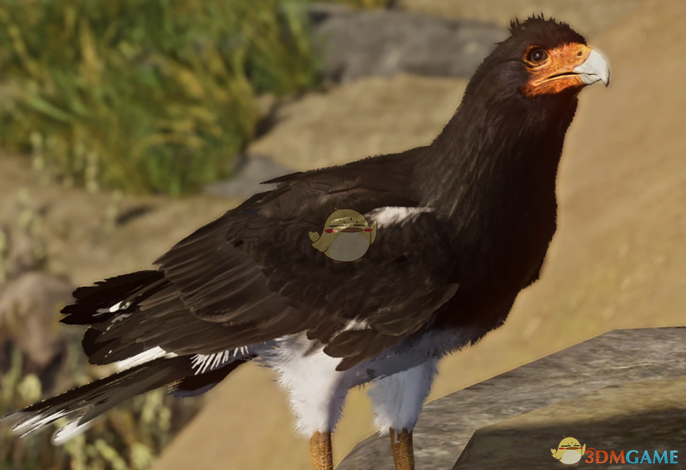 ������԰֮�ǡ�������ɽ�ؾ���MOD v1.0