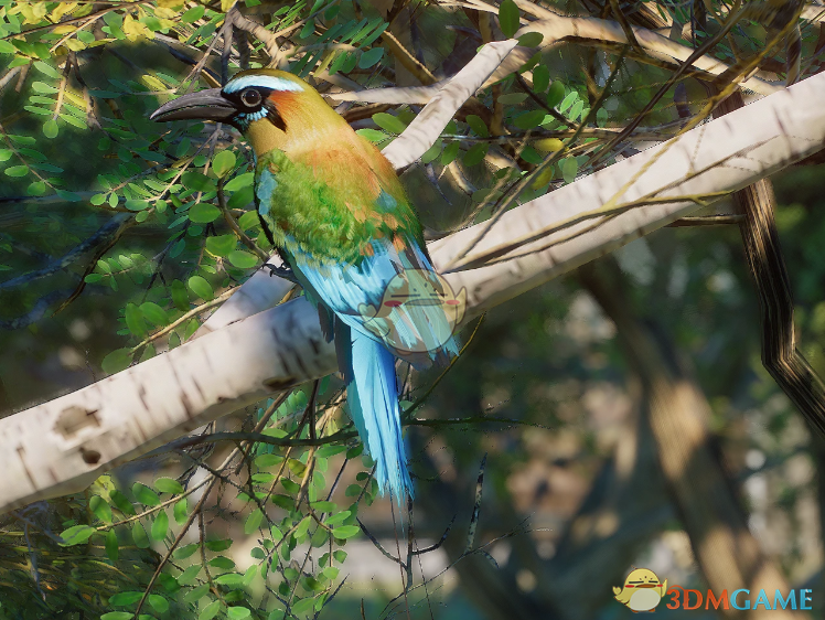 ������԰֮�ǡ���������ü���tMOD v1.0