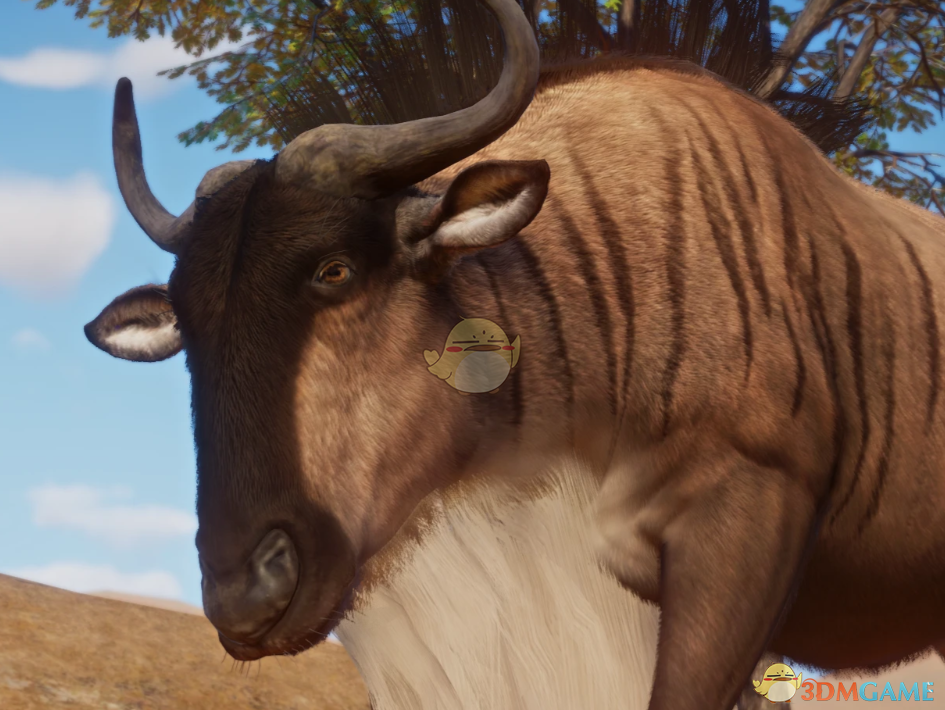 ������԰֮�ǡ����������׸ǵٽ���MOD v1.0