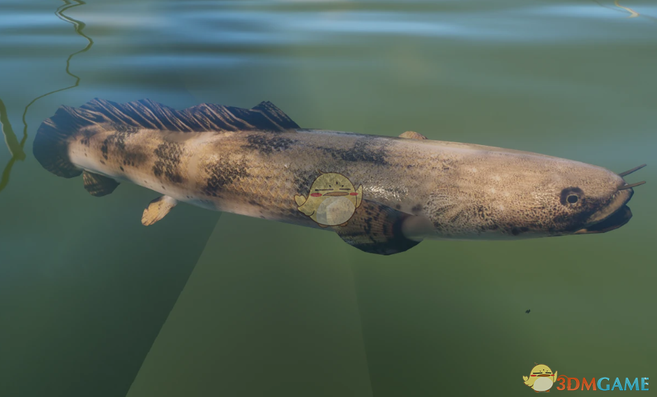 ������԰֮�ǡ������ֶ��϶�����MOD v1.0