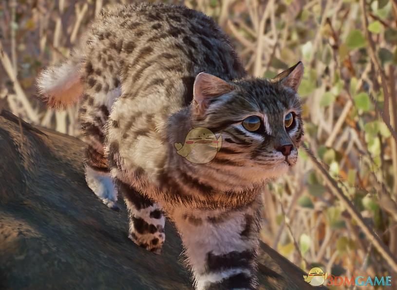 ������԰֮�ǡ������ֺ���èMOD v1.0