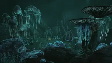 ���Ϲž���5��������ư桷����������Ľ�MOD v1.0