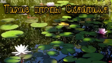 ���Ϲž���5��������ư桷�����������MOD v1.0