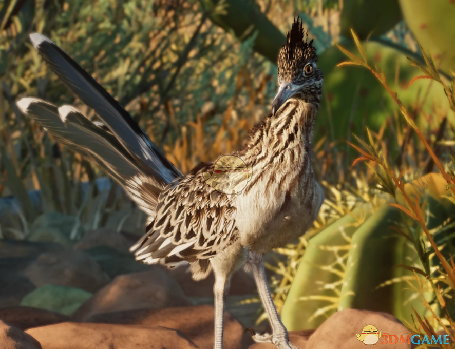 ������԰֮�ǡ��������߾�MOD v1.0