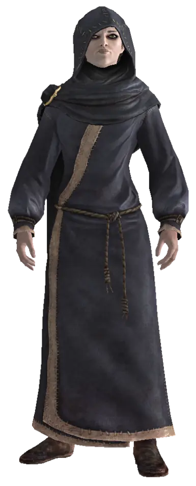 ���Ϲž���5��������ư桷���õ�NPC������MOD v1.0