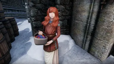 ���Ϲž���5��������ư桷���Ʋ�˯��ѩ����MOD v1.0