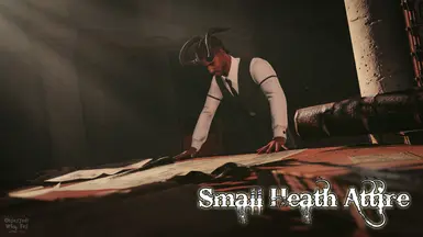 ������֮��3��Сʯ����װMOD v1.0