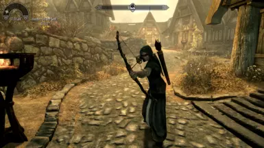 ���Ϲž���5��������ư桷ľ֦��MOD v1.0