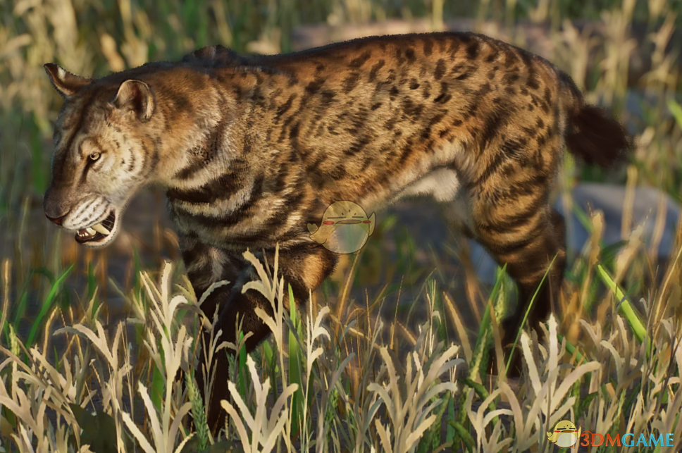 ������԰֮�ǡ����������ϗ�軽��ݻ�MOD v1.0