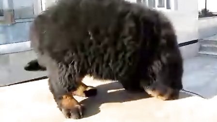 ���α��з�����ȫ���漣����������