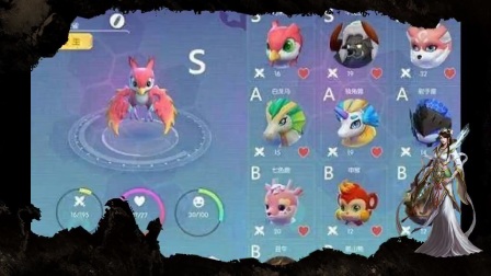 һ����׽��������Ƶ