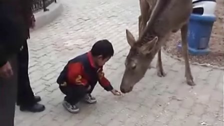 ����ȫ���ԡ�ʱ�ճ����֡�