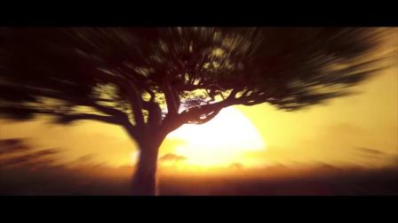 ���ʺ����š���������Ա����