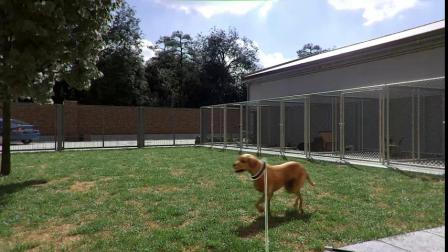 ģϷӻ/AnimalShelterԤƬ