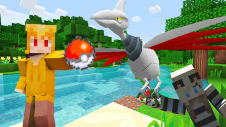 �ҵ�����ڴ����� �������Ȼ�����ץ