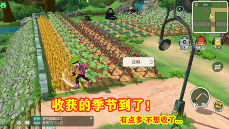 Сɭ����ջ�ļ��ڵ��ˣ���ô���߲�ֲ�Ҫ�ոʲôʱ��