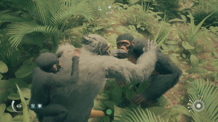 ��������µ���12��һ·��̽����·����������Ա�����¼������