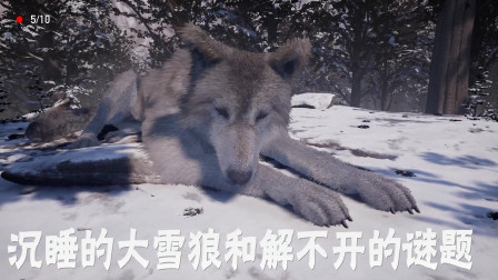 ˯ĴѩǺͽⲻ⡶Nephise