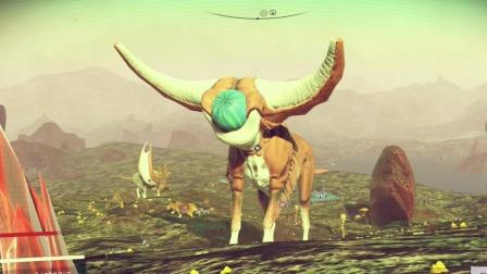 Ⱥ֮Ѱҳ浰 ! | (No Man Sky)#15