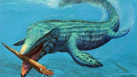 ����ģʽ, С�����ս����BOSS! | ���״���ɱ(Fish Sim)#38