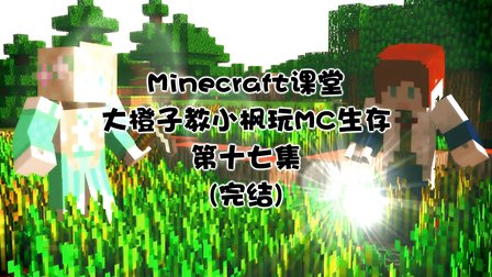 MinecraftáӽС棺17- 